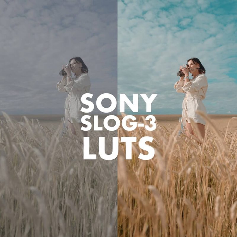 测试标题-艺星网