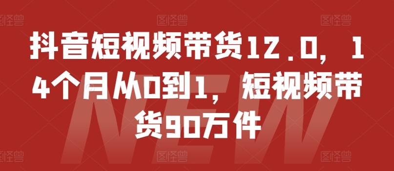 抖音短视频带货12.0，14个月从0到1，短视频带货90万件-云创网