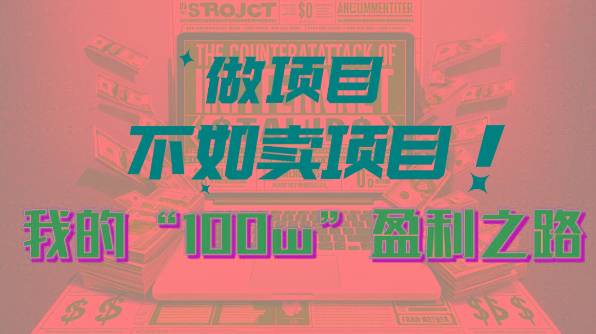 为什么做项目不如卖项目？我的100W+盈利之路-云创网